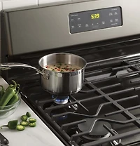 5.0 Cu. Ft. Stainless Steel Free-Standing Gas Range