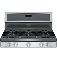5.6 Cu. Ft. Stainless Steel Free-Standing Gas Convection Range with Warming Drawer