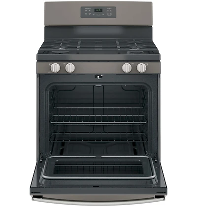 5.0 Cu. Ft. Slate Free-Standing Gas Range