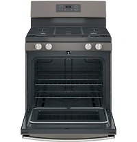5.0 Cu. Ft. Slate Free-Standing Gas Range