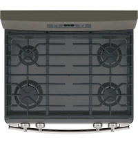 5.0 Cu. Ft. Slate Free-Standing Gas Range