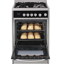 Stainless 24 inch 2.0 Cu. Ft. Gas Free-Standing Range