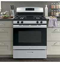 4.8 Cu. Ft. Free-Standing Gas Range - Stainless Steel 