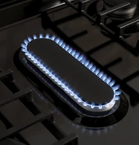 5.3 Cu. Ft. Stainless 5 Burner Gas Range