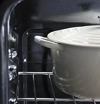 6.8 Cu. Ft. Black Free-Standing Gas Double Oven Convection Range