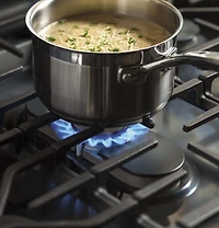 6.8 Cu. Ft. Slate Free-Standing Gas Double Oven Convection Range