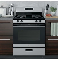 4.8 Cu. Ft. Silver Free-Standing Gas Range