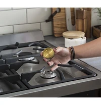 Stainless 24 inch 2.0 Cu. Ft. Dual-Fuel Free-Standing Range