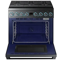 6.3 Cu. Ft. Black Stainless Dual-Fuel Range