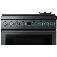6.3 Cu. Ft. Black Stainless Dual-Fuel Range
