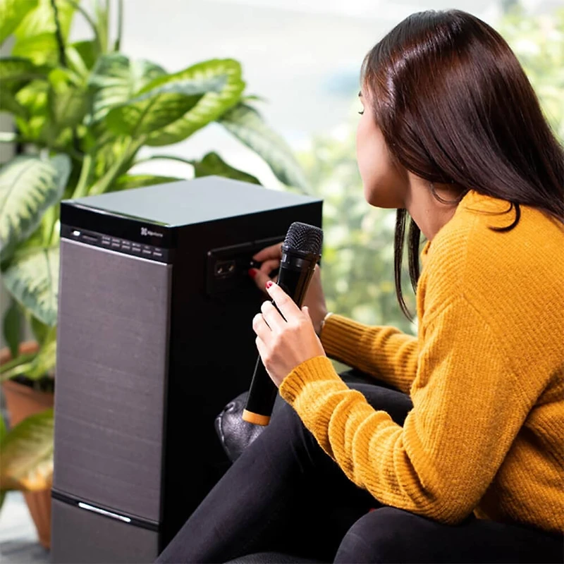 Forte Floorstanding Wireless Speaker - OPEN BOX