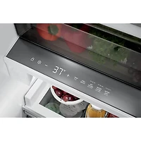 19 Cu. Ft. Stainless Steel Single-Door Refrigerator