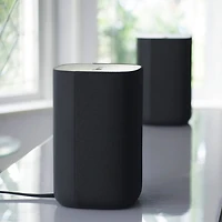 Wireless Speakers
