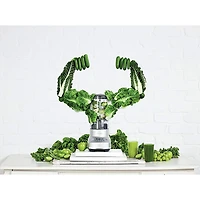 Fresh & Furious® Blender