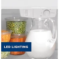 21.9 Cu. Ft. Top-Freezer Refrigerator in Black - OPEN BOX