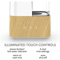 Ultrasonic Humidifier