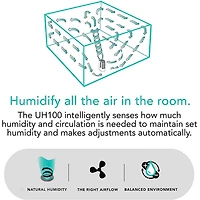 Ultrasonic Cool Mist Humidifier