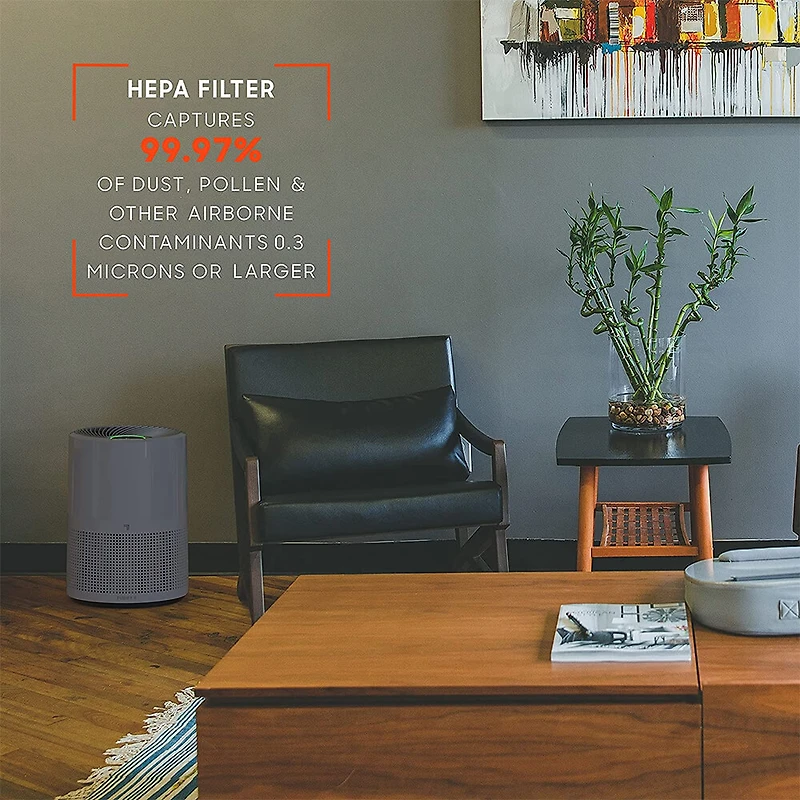 Purify 9 Whole Room True HEPA Air Purifier