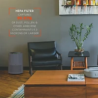 Purify 9 Whole Room True HEPA Air Purifier