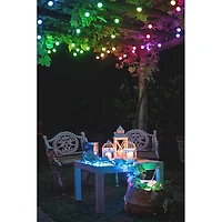 Festoon Lights - Starter Kit - Generation II