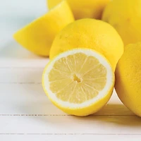 Lemon Sugar Wax Melts, 2.5 Oz, 6 Pack - OPEN BOX