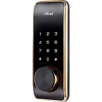DB2-B Smart Door Lock with Bluetooth and Keyed-entry - Gold