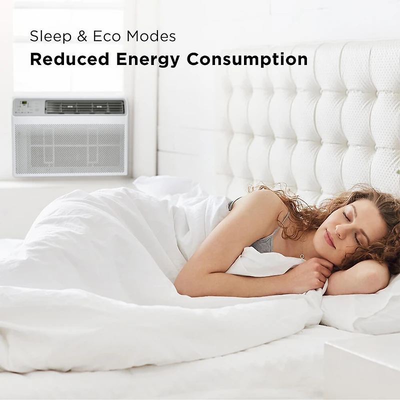 6,000 BTU Smart Window Air Conditioner - 