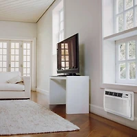 9,800 BTU 115V Through-the-Wall Air Conditioner