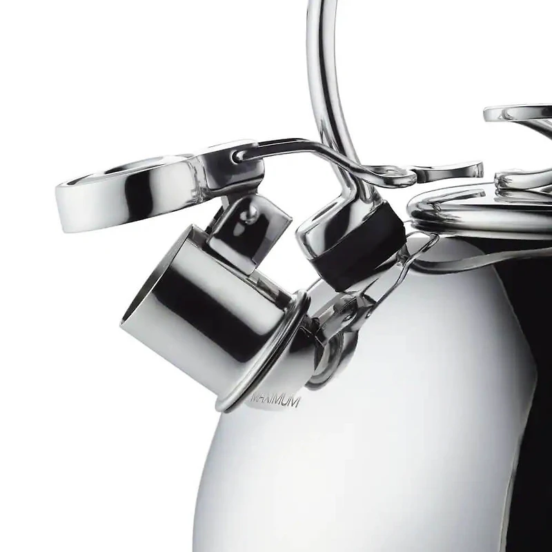 2.3-Quart Whistling Stainless Teakettle with Flip-Up Spout