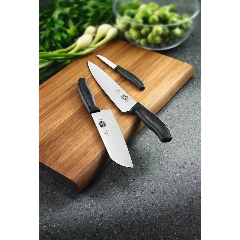 Swiss Classic 10-Piece Knife Set