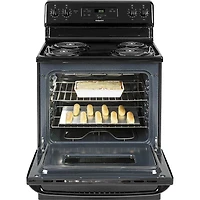 5.0 Cu. Ft. Black Freestanding Electric Range
