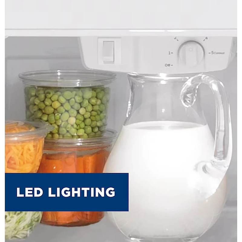 19.2 Cu. Ft. Stainless Top-Freezer Refrigerator