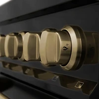 inch Autograph Edition Black/Bronze Freestanding Dual Fuel Range