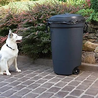 Pawz Away Outdoor Pet Barrier Collar Set