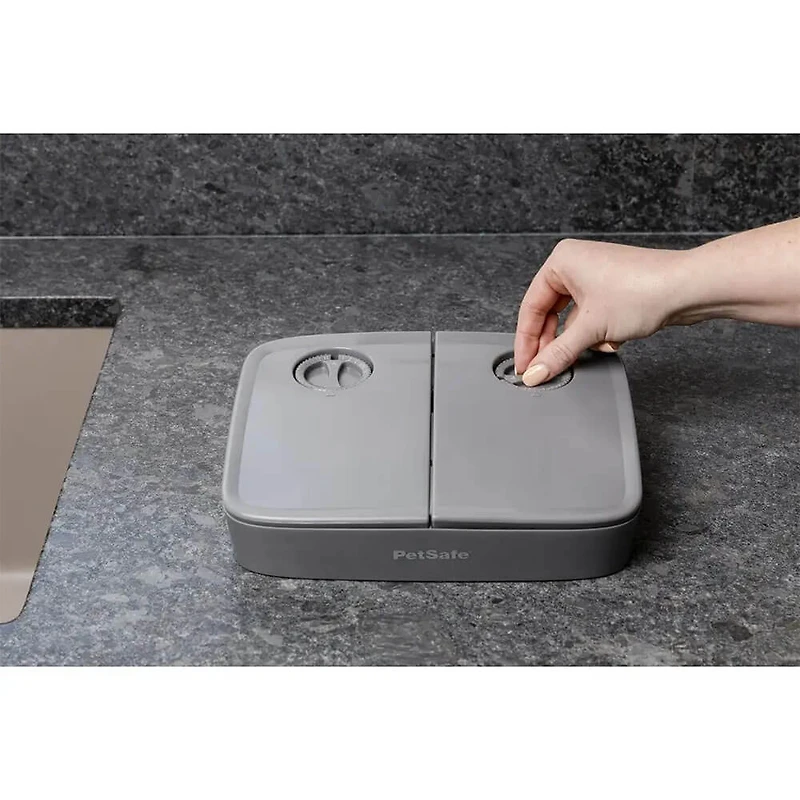 Automatic 2 Meal Pet Feeder