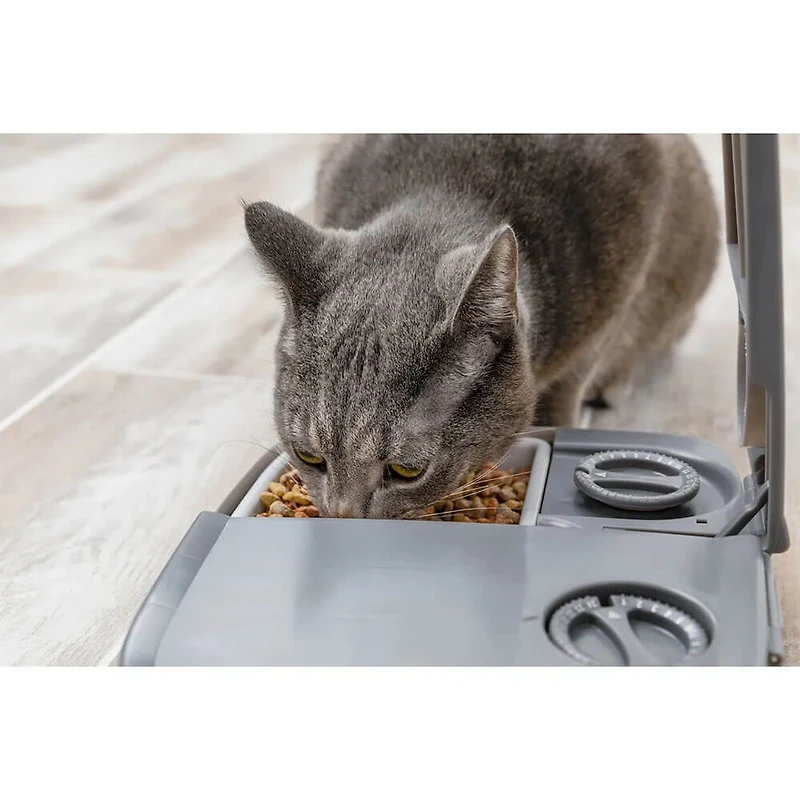 Automatic 2 Meal Pet Feeder