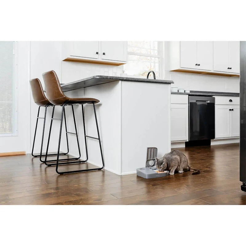 Automatic 2 Meal Pet Feeder