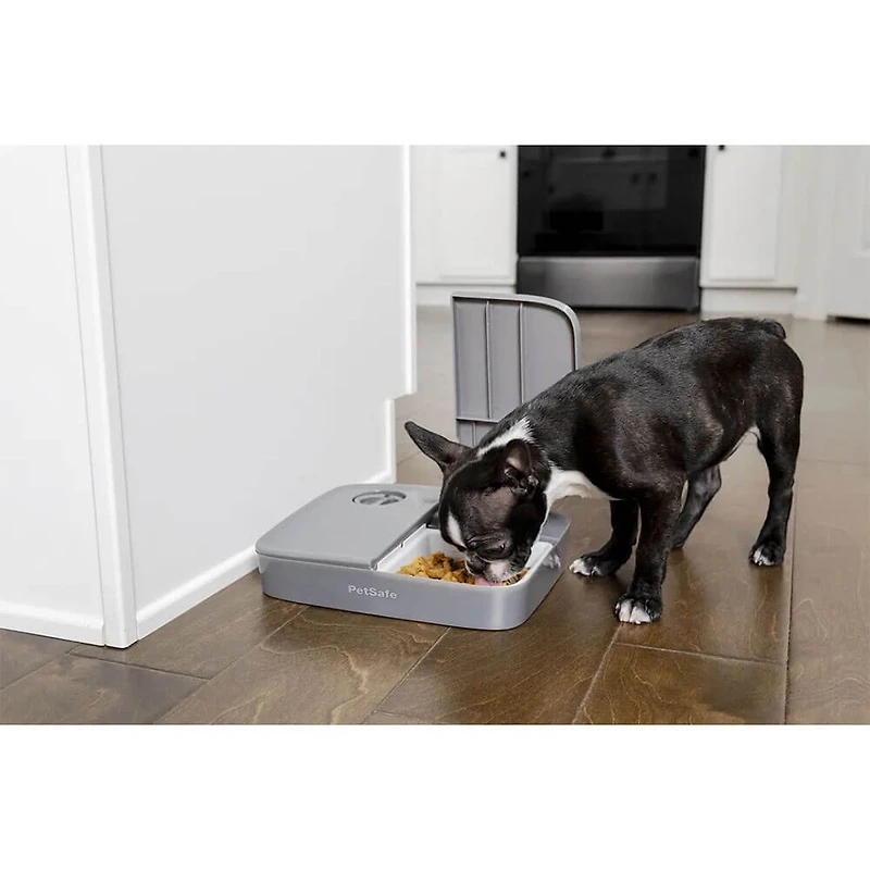 Automatic 2 Meal Pet Feeder