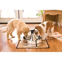 Drinkwell Stainless Multi-Pet Fountain
