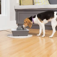 Drinkwell Seascape Pet Fountain