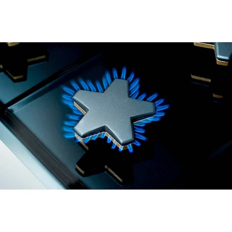 5.0 Cu. Ft. Stainless Freestanding Gas Convection Range 