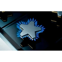 5.0 Cu. Ft. Stainless Freestanding Gas Convection Range 