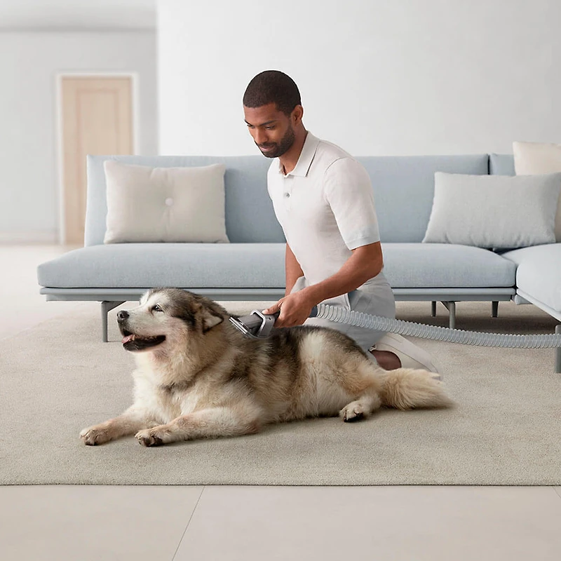 Ball Animal 3 Extra Upright Vacuum - Copper/Silver