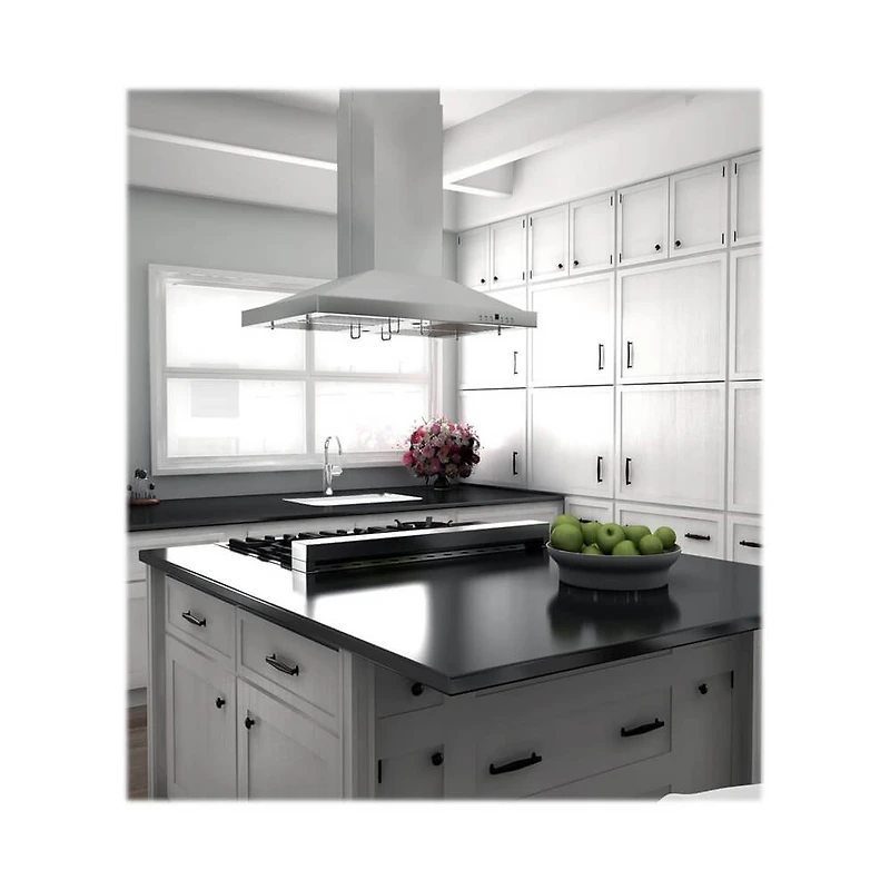 30 inch Stainless Externally Vented Range Hood