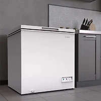 7 Cu. Ft. White Garage Ready Chest Freezer​