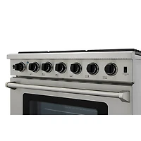6.0 Cu. Ft. Stainless Steel Freestanding Gas Range