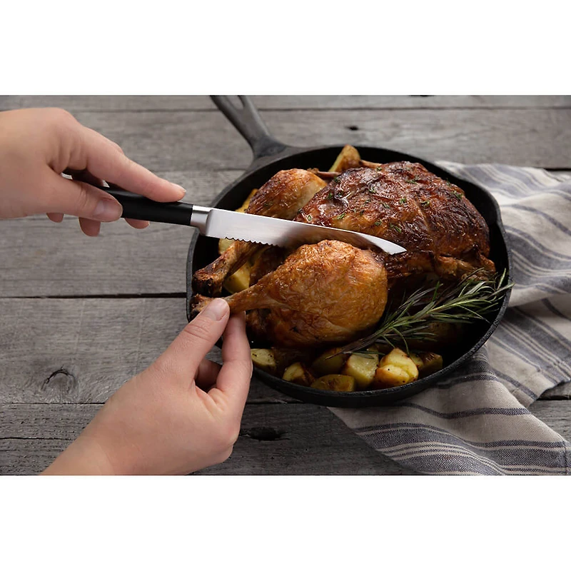 Chikara -Piece Japanese Steel Knife Set