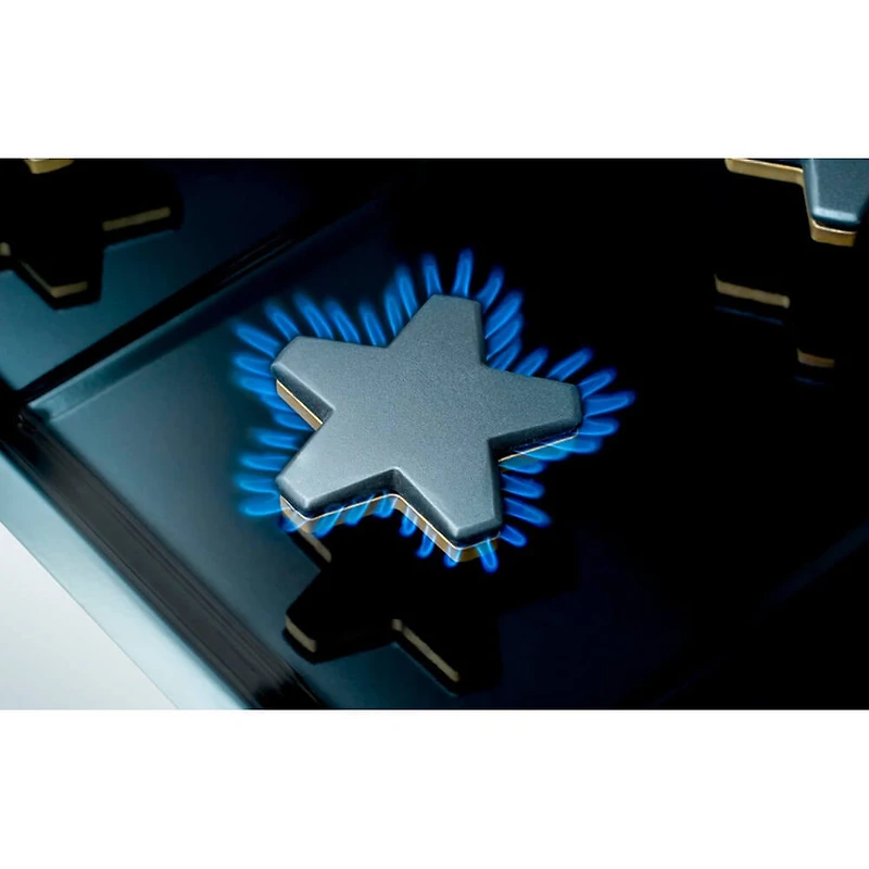 6.8 Cu. Ft. Stainless Steel Freestanding Dual Fuel Convection Range