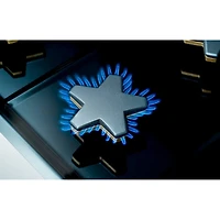 6.8 Cu. Ft. Stainless Steel Freestanding Dual Fuel Convection Range