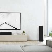 RP-8000F II Floorstanding Speaker - Ebony - Each